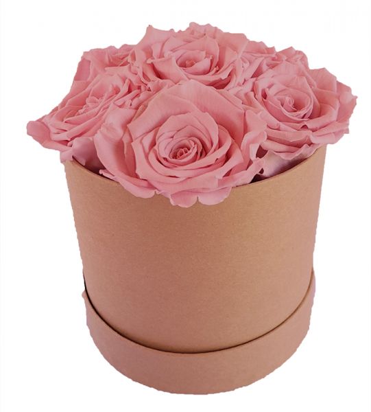 6x Infinity Rose Rosa als Geschenkbox - Haltbare Rosen