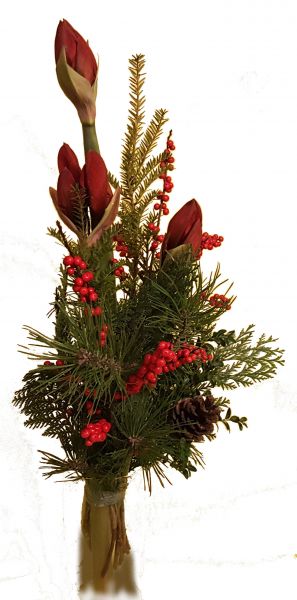 adventlicher Blumenstrauß rote Amaryllis frisches Grün zum Advent zu Weihnachten