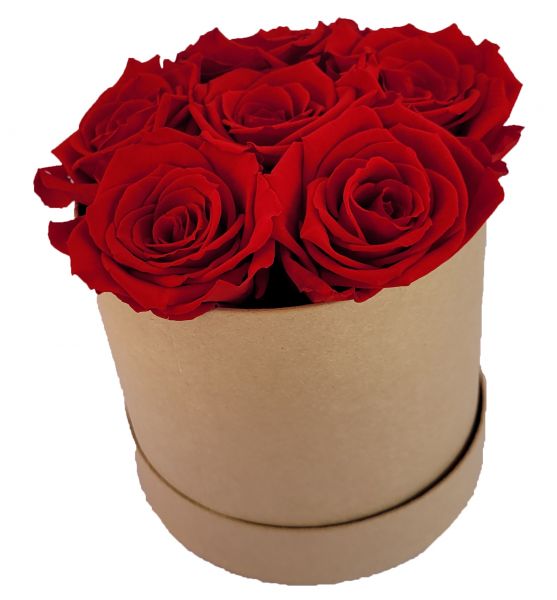 6x Infinity Rose Rot als Geschenkbox - Haltbare Rosen-