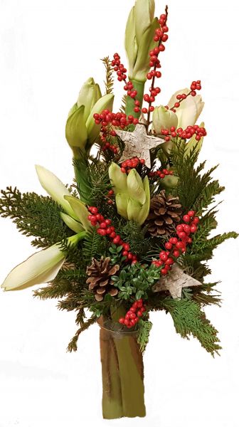 winterlicher Blumenstrauß weiße Amaryllis frische Tanne zu Weihnachten Advent Weihnachtsdeko Stern
