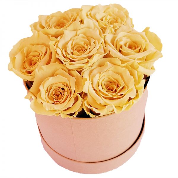6x Infinity Rose Vanille als Geschenkbox - Haltbare Rosen