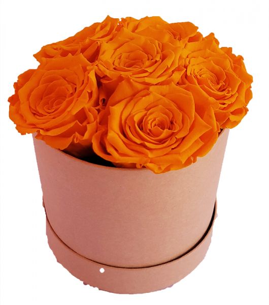 6x Rosen orange - Infinity Rose als Geschenkbox - Haltbare Rosen-