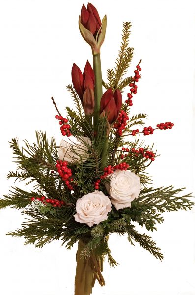 adventlicher Blumenstrauß rote AMARYLLIS frische Tanne große ROSEN zum Advent
