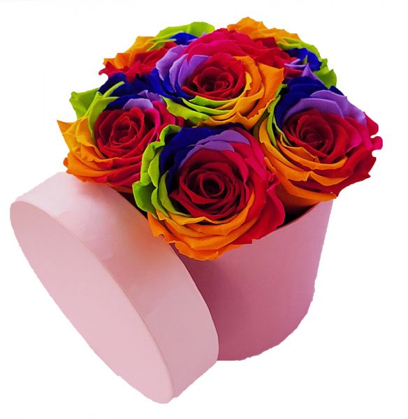 Rosen Rainbow - 6Stück Infinity Rose als Geschenkbox - Haltbare Rosen-
