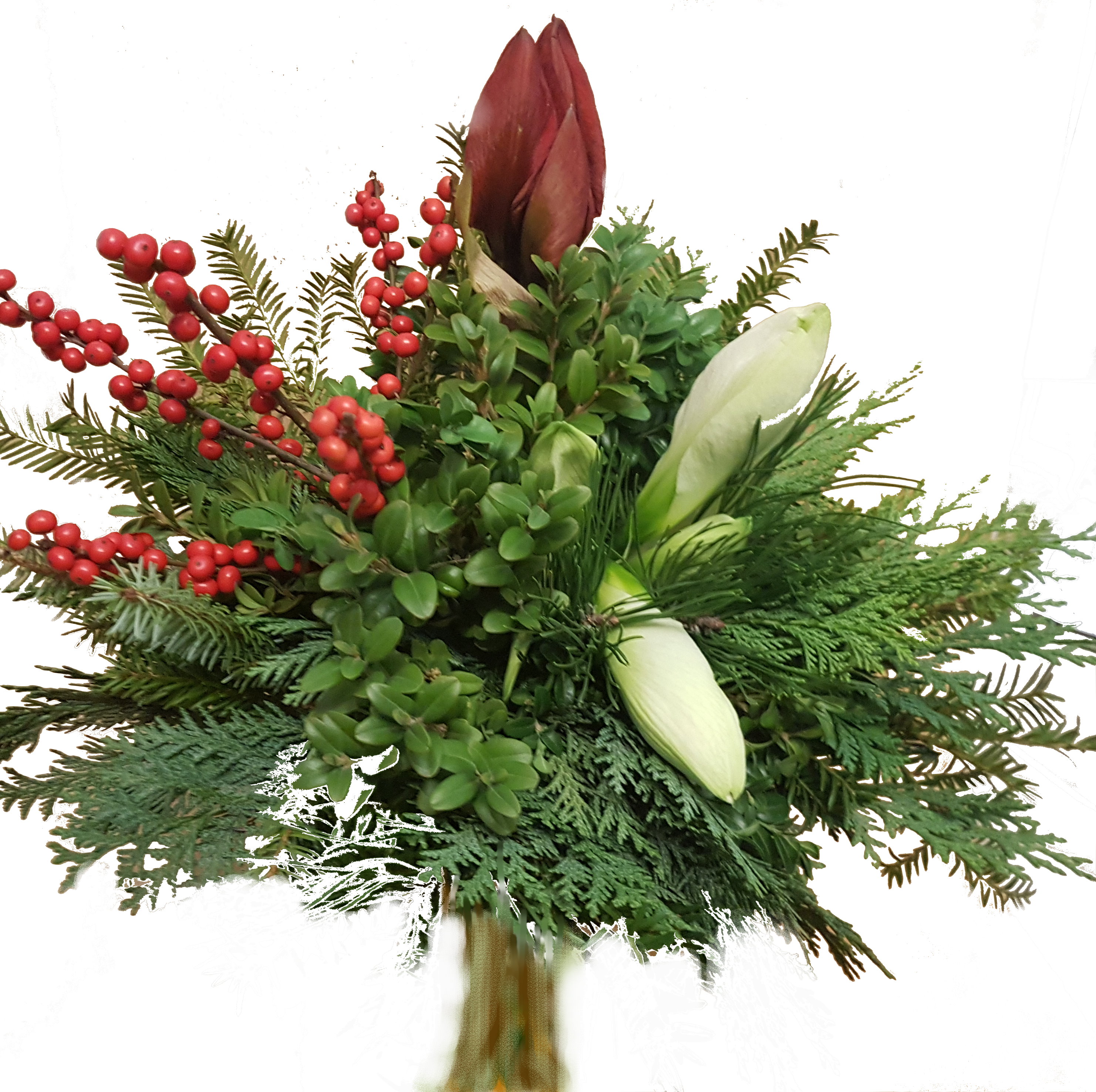 Blumen-Strauß Inklusive Grußkarte # Weihnachten # Advent 3 weiße Amaryllis mit frischem Eukalyptus und feinen Gräsern 