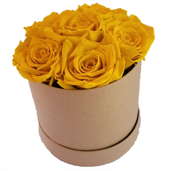 6x Infinity Rose Gelb als Geschenkbox - Haltbare Rosen
