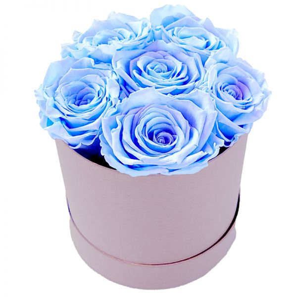 6x Rosen blau - Infinity Rose als Geschenkbox - Haltbare Rosen-