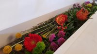 ✾ crazy colour ✾Blumenbox ✾