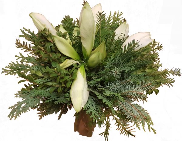 winterlicher Blumenstrauß weiße Amaryllis frisches Grün zum Advent zu Weihnachten