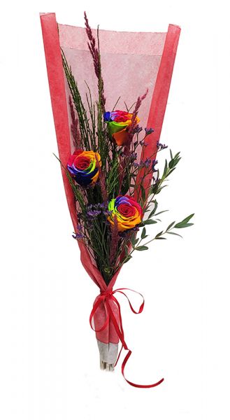 Rosen Rainbow - Infinity Rose als Geschenk - Haltbare Rosen
