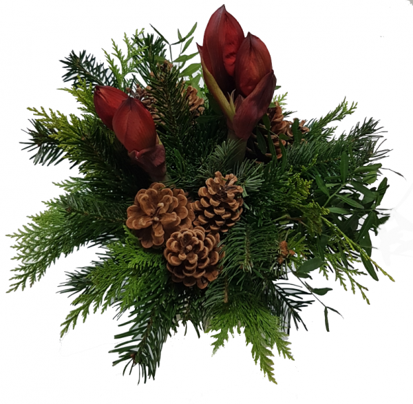 * Amarylles Blumenstrauß *