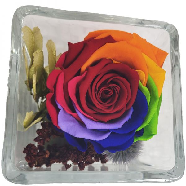 Rosen Infinity - Blumengruß - Rainbow