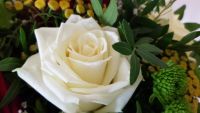 Blumenstrauß ✿ Liebelei der Blumen ✿
